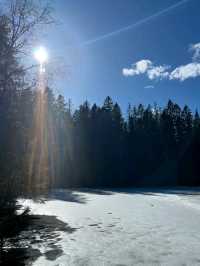 Spring Awakens in Oslo: Where Fjords Meet Art & Nature
