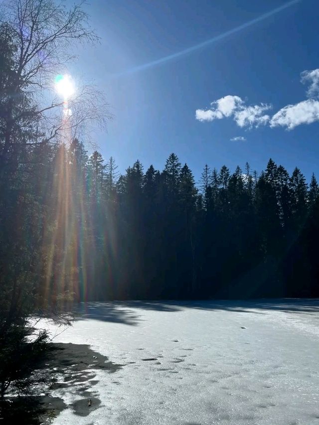 Spring Awakens in Oslo: Where Fjords Meet Art & Nature