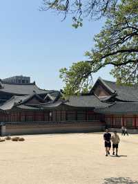 Wearing Hanbok Walk Around Gyeongbokgung Palace😍