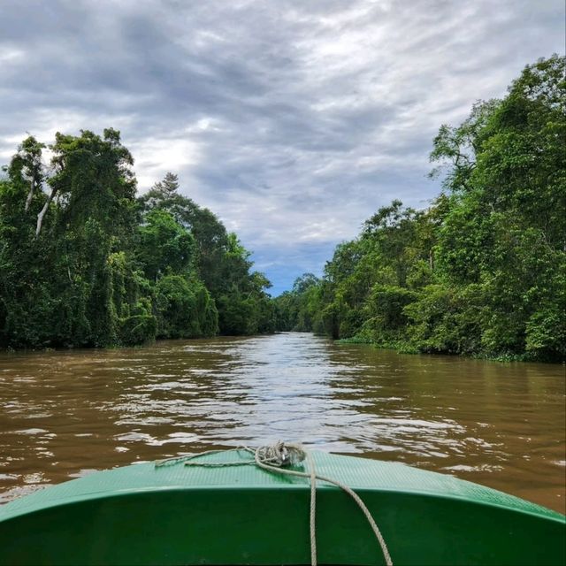 Cruisin’ the Kinabatangan River