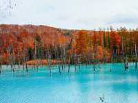 Hokkaido