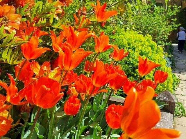 Wandering Through Living Art – My Day at Hidcote Manor Garden