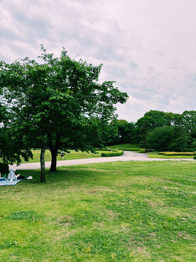 【東京の穴場なオアシス・皇居周辺】  1日じっくり楽しめる、都心の緑と歴史と美味しい時間🌿🍵