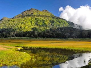 MOUNT APO