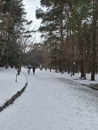 BEAUTIFUL PARK.