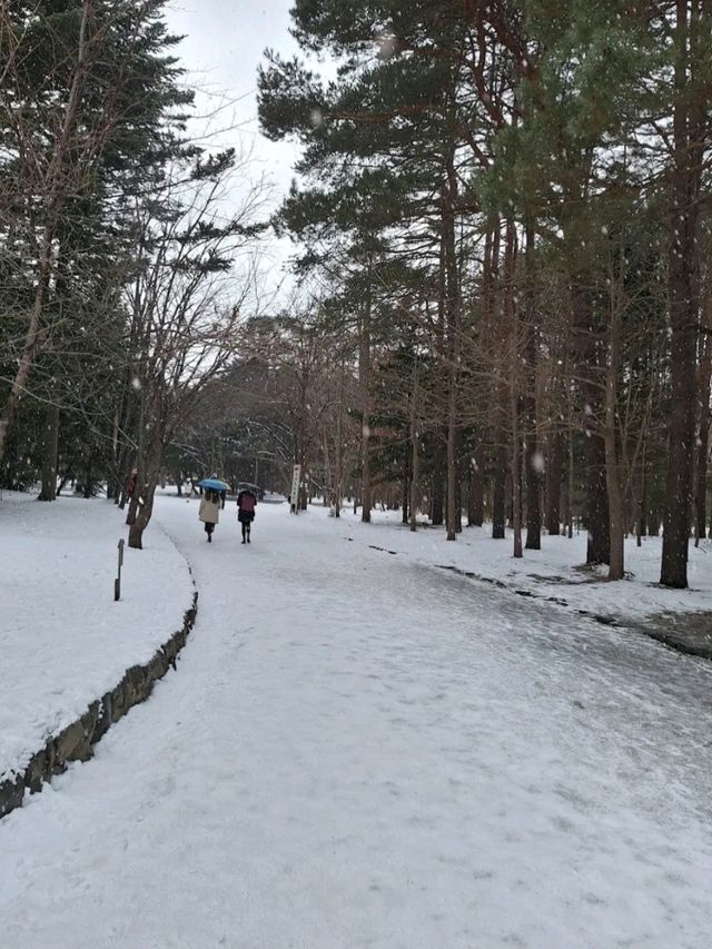 BEAUTIFUL PARK.