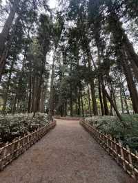 🌸【雨中偕樂園．櫻花靜賞漫旅】探訪日本三大名園之一｜水戶最值得造訪的春日秘境