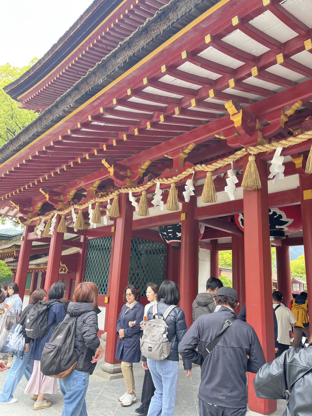 福岡必去🇯🇵太宰府天滿宮半日遊⛩️