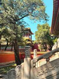 🏯 Forbidden City Beijing: Step Into Imperial Grandeur! 👑🇨🇳