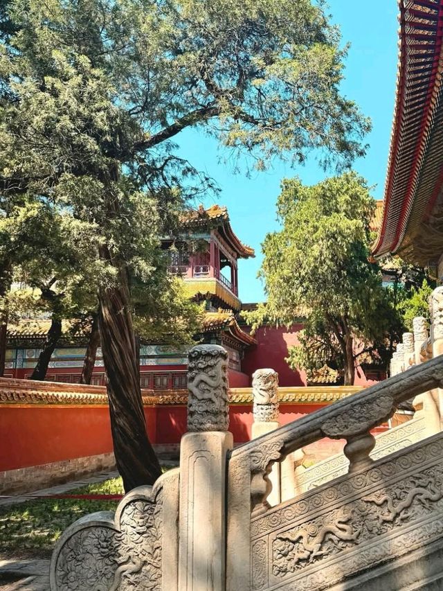 🏯 Forbidden City Beijing: Step Into Imperial Grandeur! 👑🇨🇳