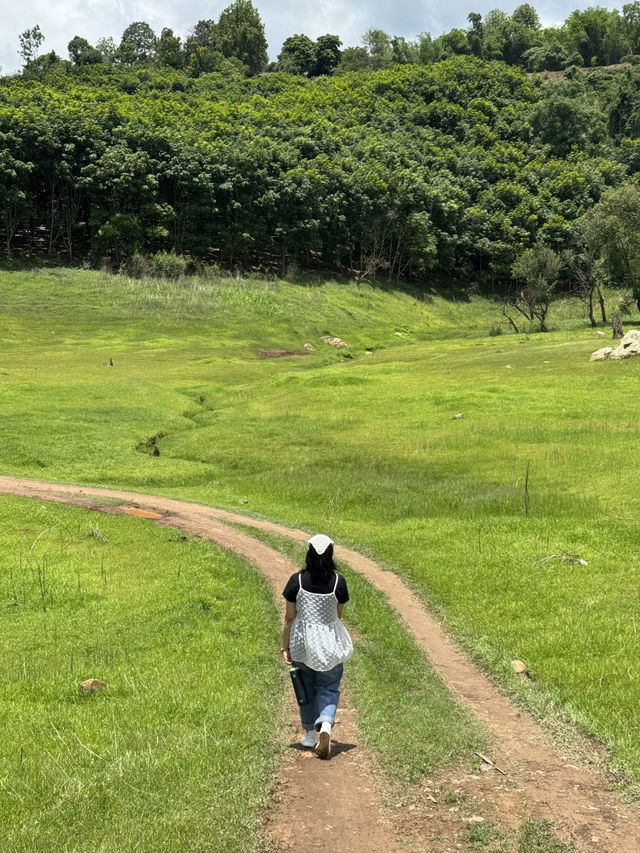 เขื่่อนบ้านลาน จ.เชียงใหม่ ⛰️🌳🌦️🐄