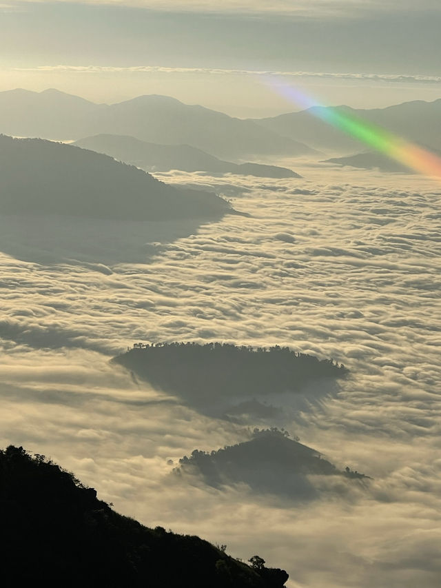 Phu Chi Fa – Chasing the Sea of Mist.
