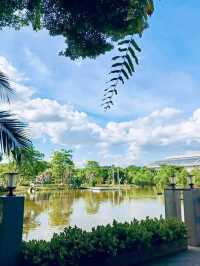 พัดมา อิน คาเฟ่ - PAT MA in Cafe