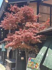 🏮 江戶時代の風情が残る町並み：飛騨高山の古い町並み 🏯🍶