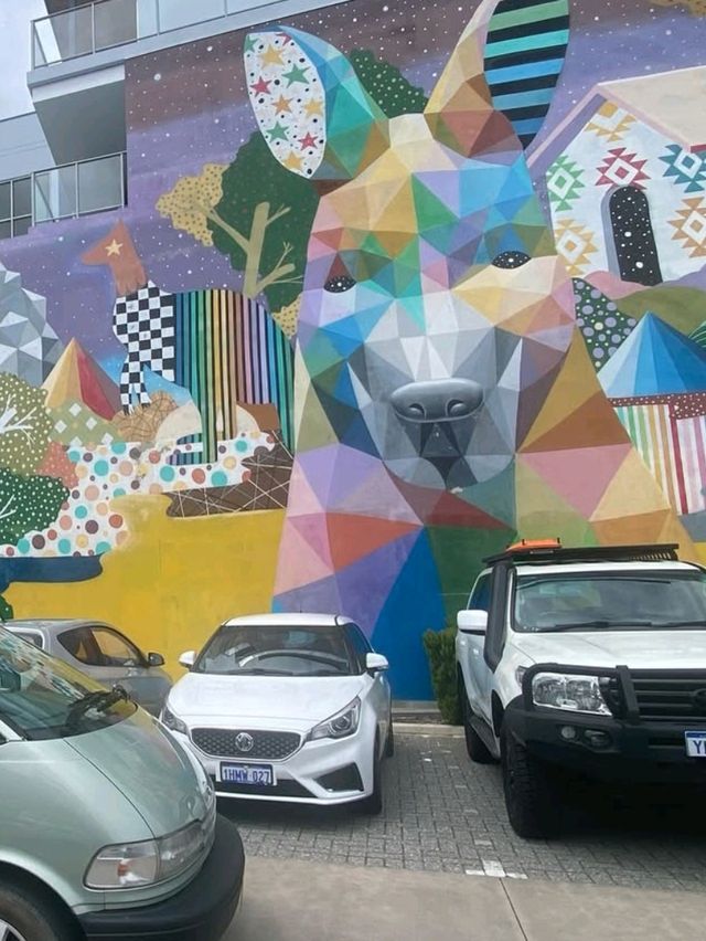 ✨Perth City Vibes: Where Urban Chic Meets Nature’s Bliss!