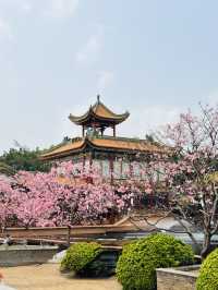 Blooming into Spring at Guangzhou’s Hidden Gem