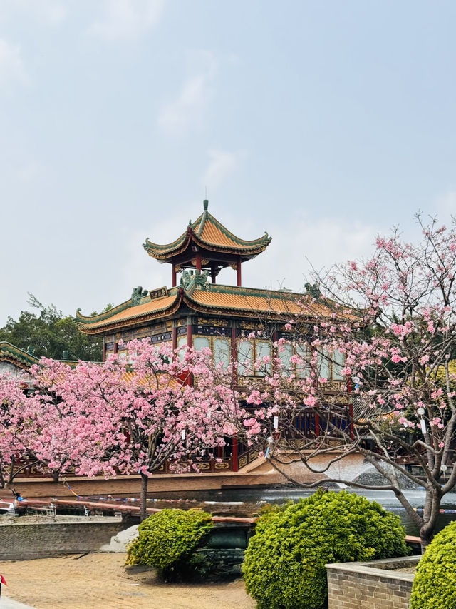 Blooming into Spring at Guangzhou’s Hidden Gem