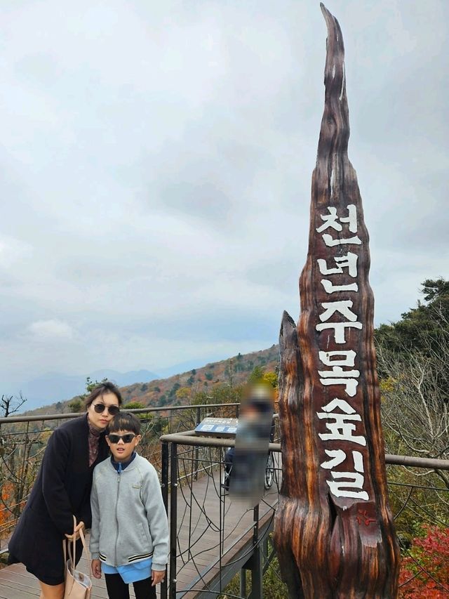 깊어가는 평창가을 [발왕산 천년주목숲길]
