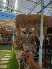 Batam Zoo Paradise