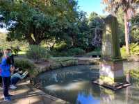 Royal Botanic Garden Sydney – Scenic, Spacious, and Free!