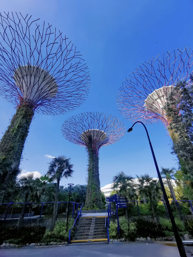 🏝️✨ รีวิวเที่ยวสิงคโปร์🇸🇬