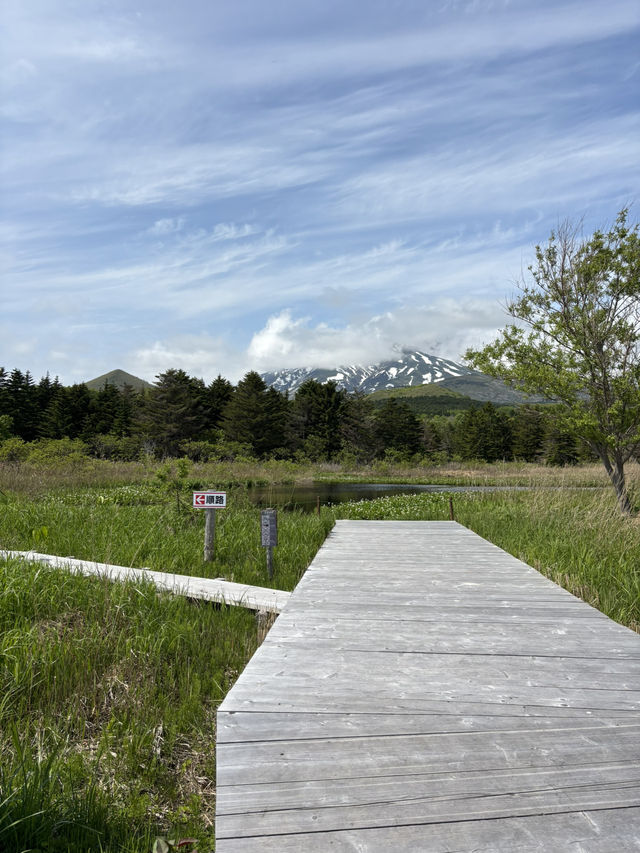 【利尻島】利尻島最大の高層湿原で季節の花と絶景を満喫！南浜湿原
