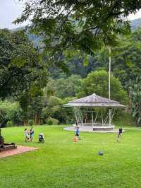 A Tranquil Green Stroll to End the Day at Penang Botanical Garden