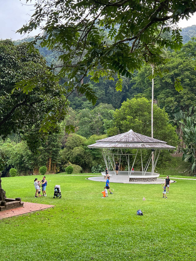 A Tranquil Green Stroll to End the Day at Penang Botanical Garden