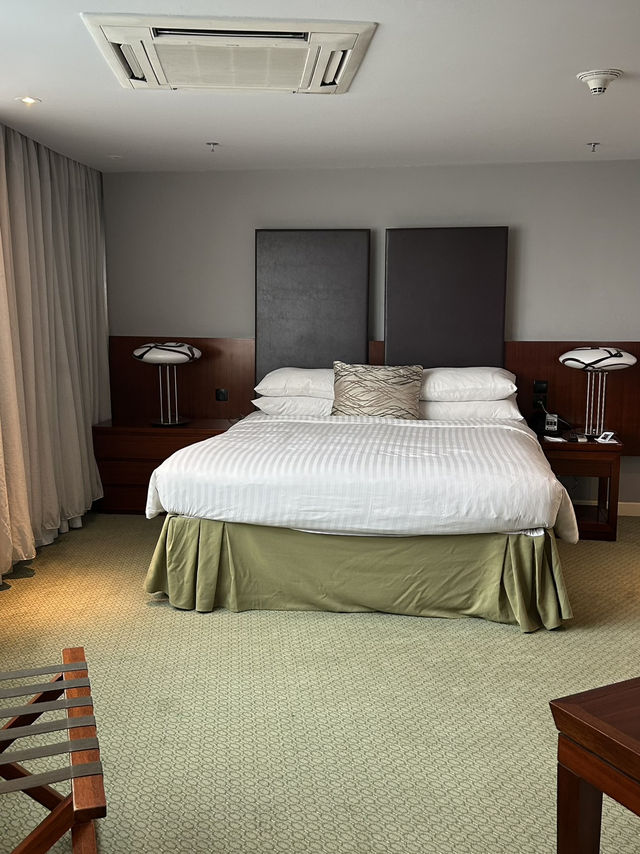 🏨Comfy Hotel in Addis Ababa