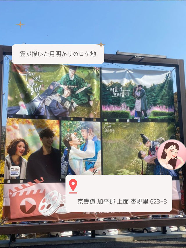 【ソウル近郊】ロケ地によくなる樹木園🌲