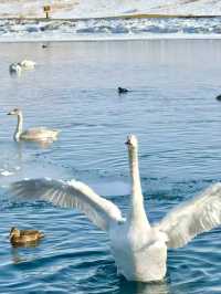 Sayram’s Mirror: Reflections on a Sacred Lake