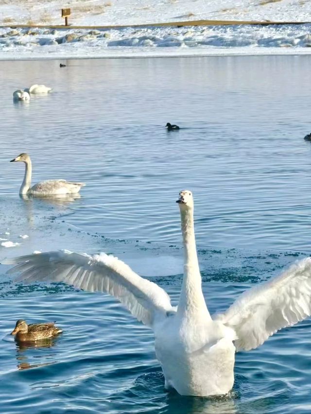 Sayram’s Mirror: Reflections on a Sacred Lake