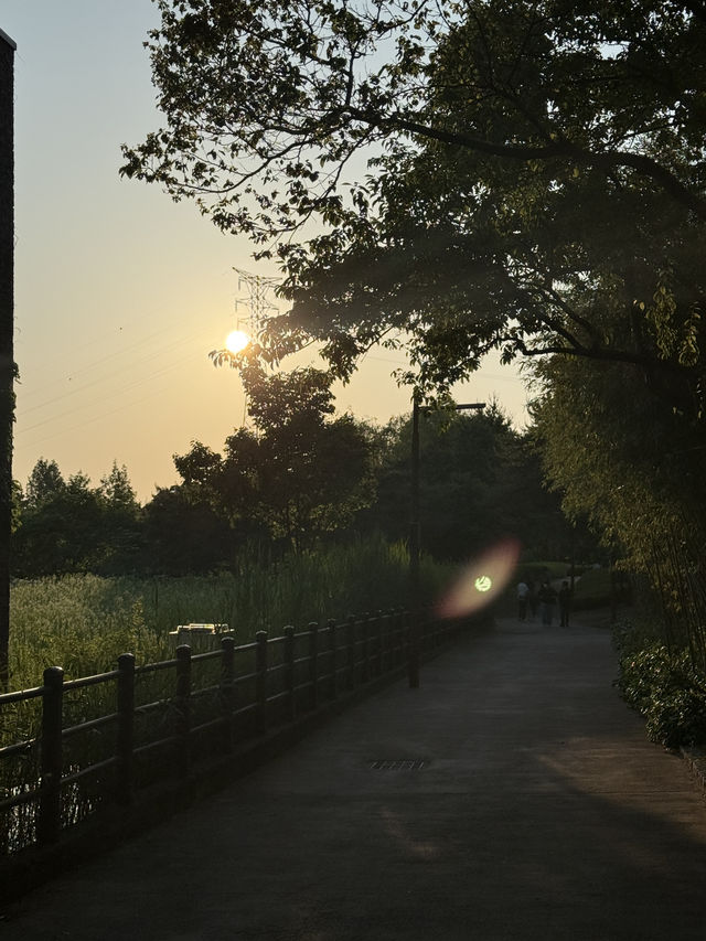 봄바랑 살랑살랑 불때 피크닉 떠나보세요🧡