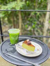 Ravenscale Khaoyai