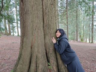 Things to do if you’re in Vancouver