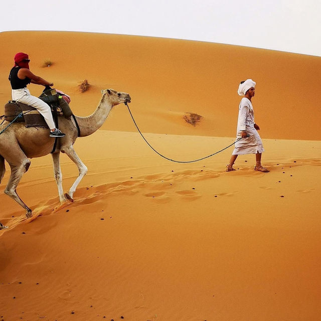 🐫🌅 Camel Trekking in the Sahara: A Magical Desert Adventure