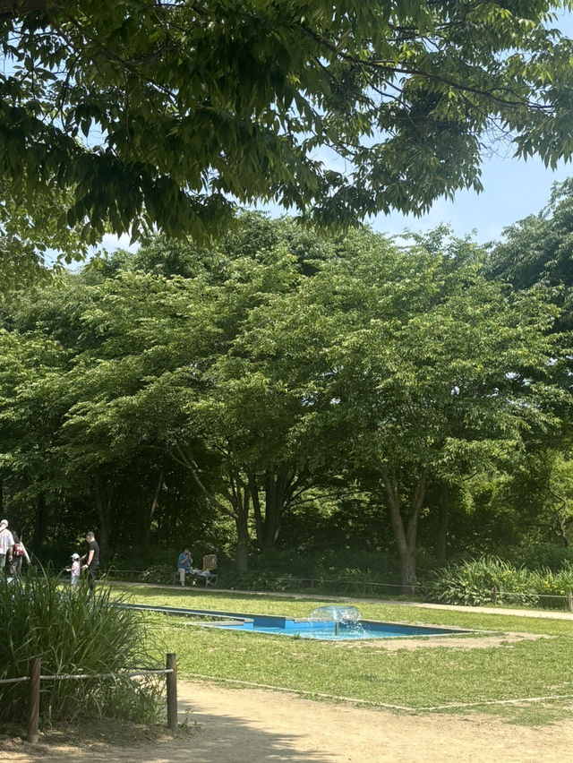 인천대공원 나들이 가보자!