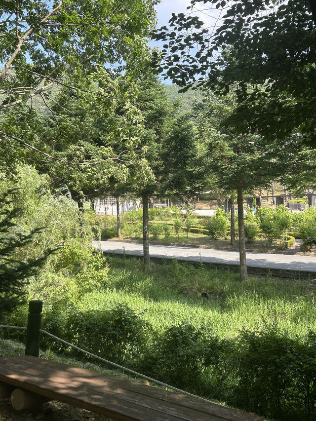 🌳 계절마다 아름다운 자연, 충북 산림환경연구소 (미동산수목원)