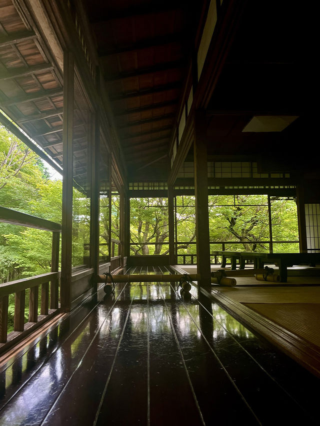 🍃🪞**【瑠璃光院（るりこういん）】 一枚の写真に、永遠の美しさを。