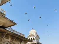 Wandering through Jaipur – the Pink City that stole my heart 