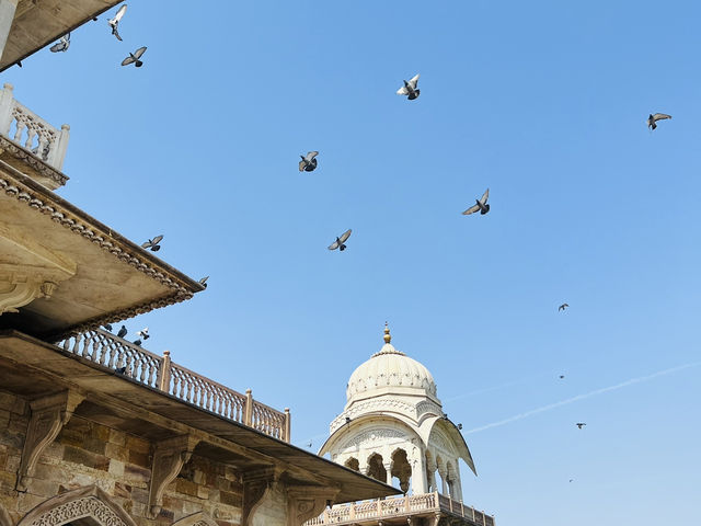 Wandering through Jaipur – the Pink City that stole my heart 