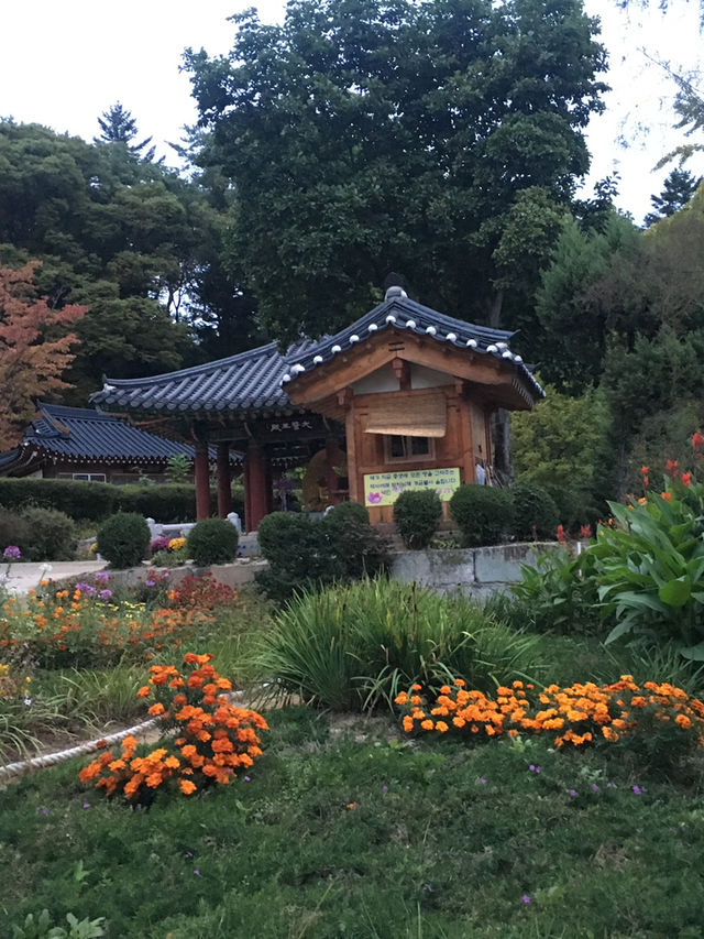 운악산 봉선사와 국화