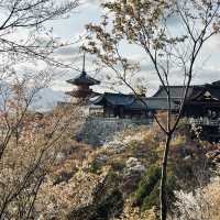 Otowa Waterfall in 2026