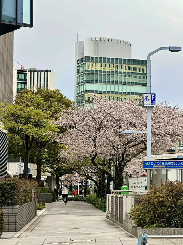 โอซาก้า🇯🇵