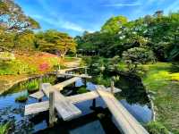 Korakuen Garden – Timeless Beauty in the Heart of Okayama
