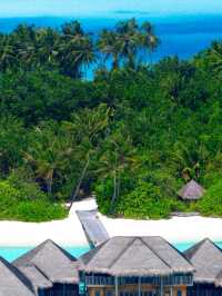 🌺 Gili Lankanfushi Maldives – A Whisper of Heaven Over Water 🌊✨