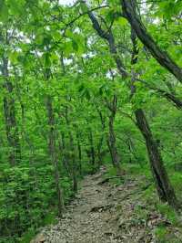 Gaji Mountain Summit