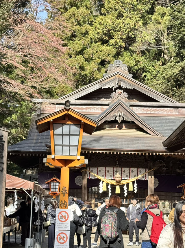 一日行程體驗🗻富士山🗻