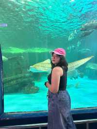 อะควาเรี่ยมบางแสน🐬🐠🪼✨