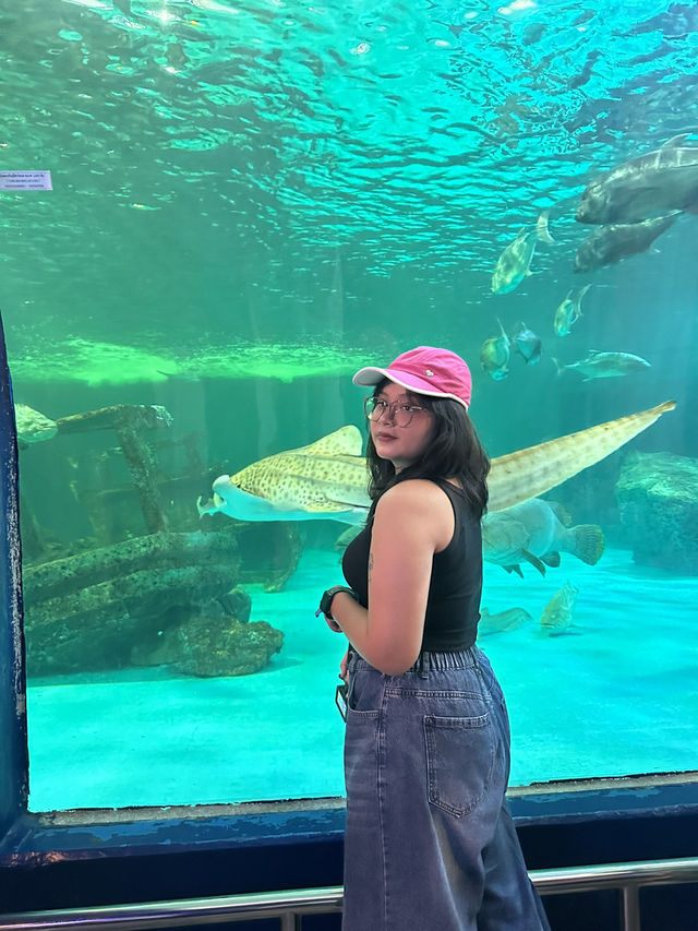 อะควาเรี่ยมบางแสน🐬🐠🪼✨